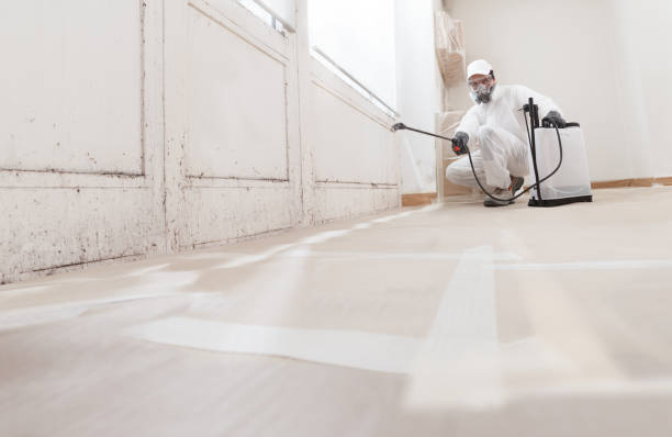 24/7 Emergency Mold Testing experts in Chalfont, PA