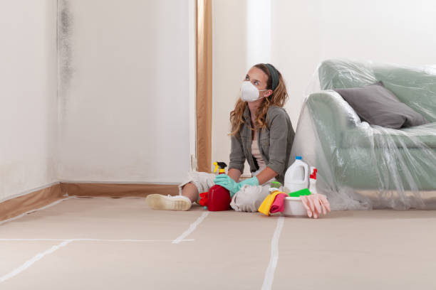 Reliable Mold Testing contractor in Chalfont, PA by WQB Mold Removal