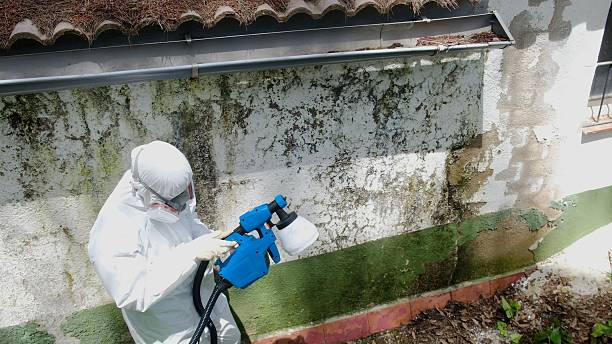 Top rated local Mold Testing specialists in Chalfont, PA